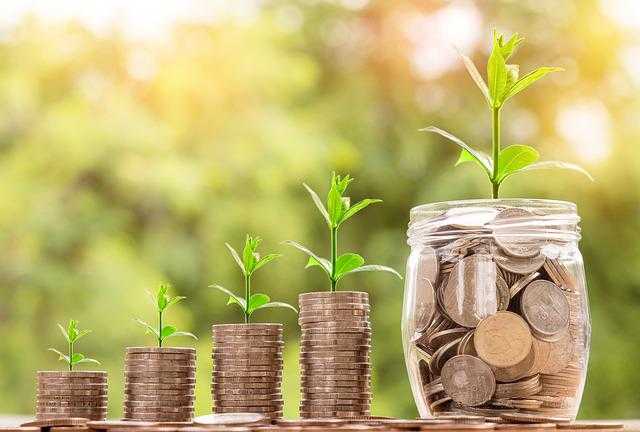 7 Best Apps to Save Money in 2022 A picture containing plant Description automatically generated