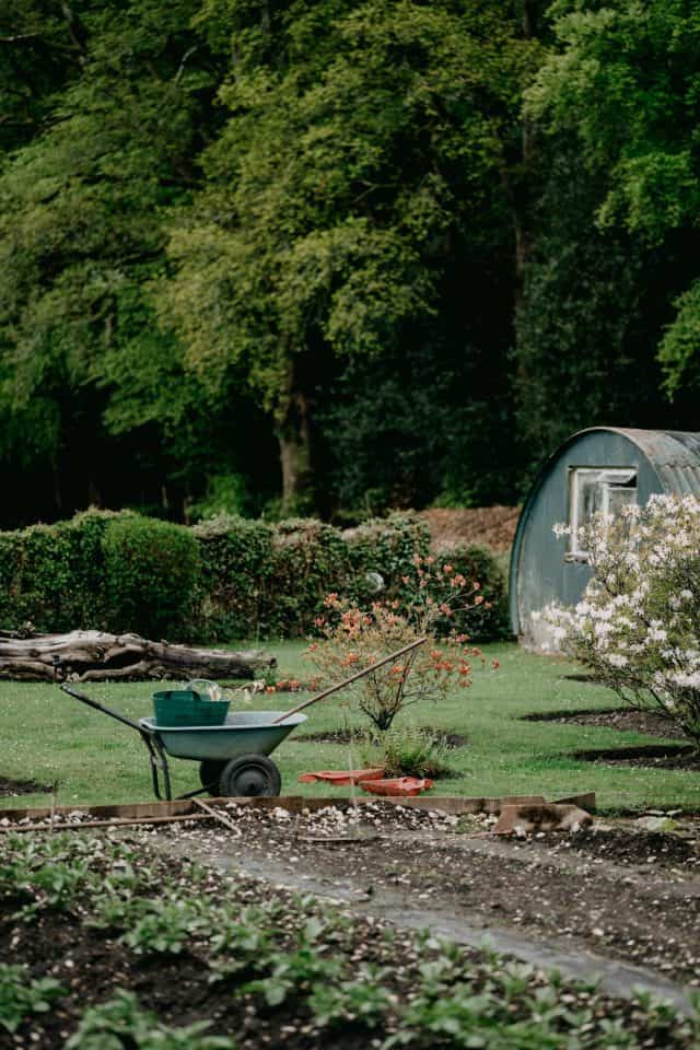 Top 5 Electric Garden Cultivator-Tillers for Weekend Gardeners | 2022